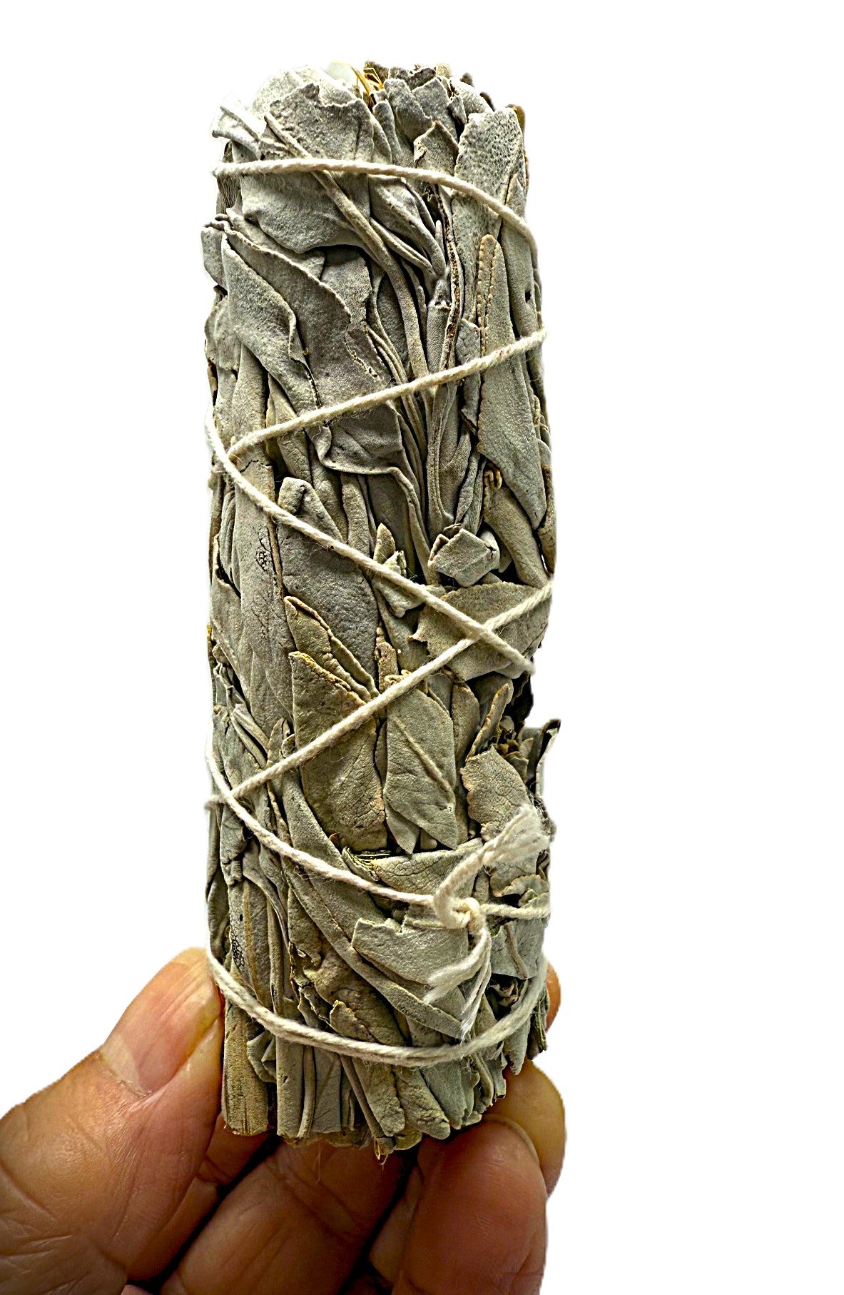 Sacred Authentic XL Barred Turkey Feather Smudge Kit with Sage Abalone Shell and Stand Hand Crafted Ritual