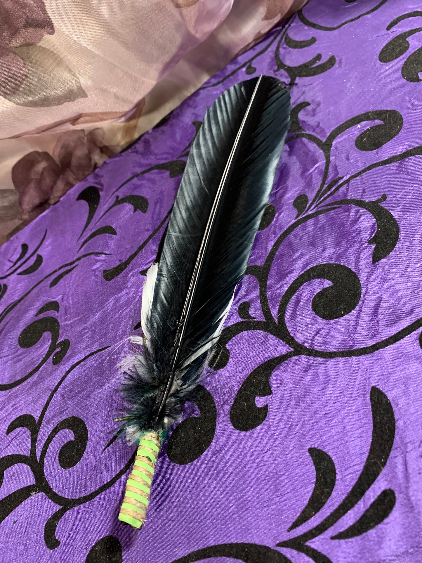 Smudge Kit: Black feather and Sage. Green Accent. Cleansing Energy.