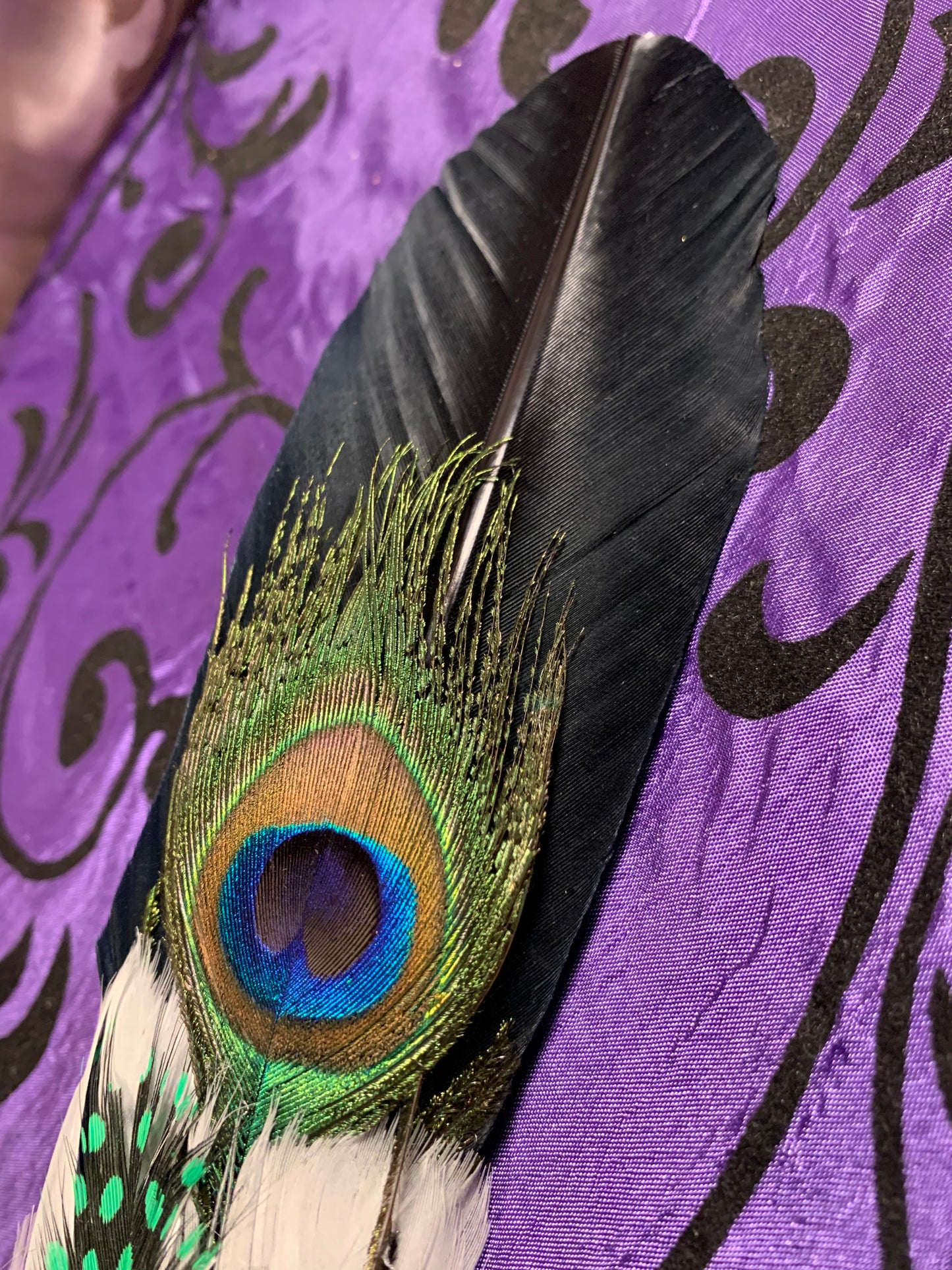 Smudge Kit: Black feather and Sage. Green Accent. Cleansing Energy.