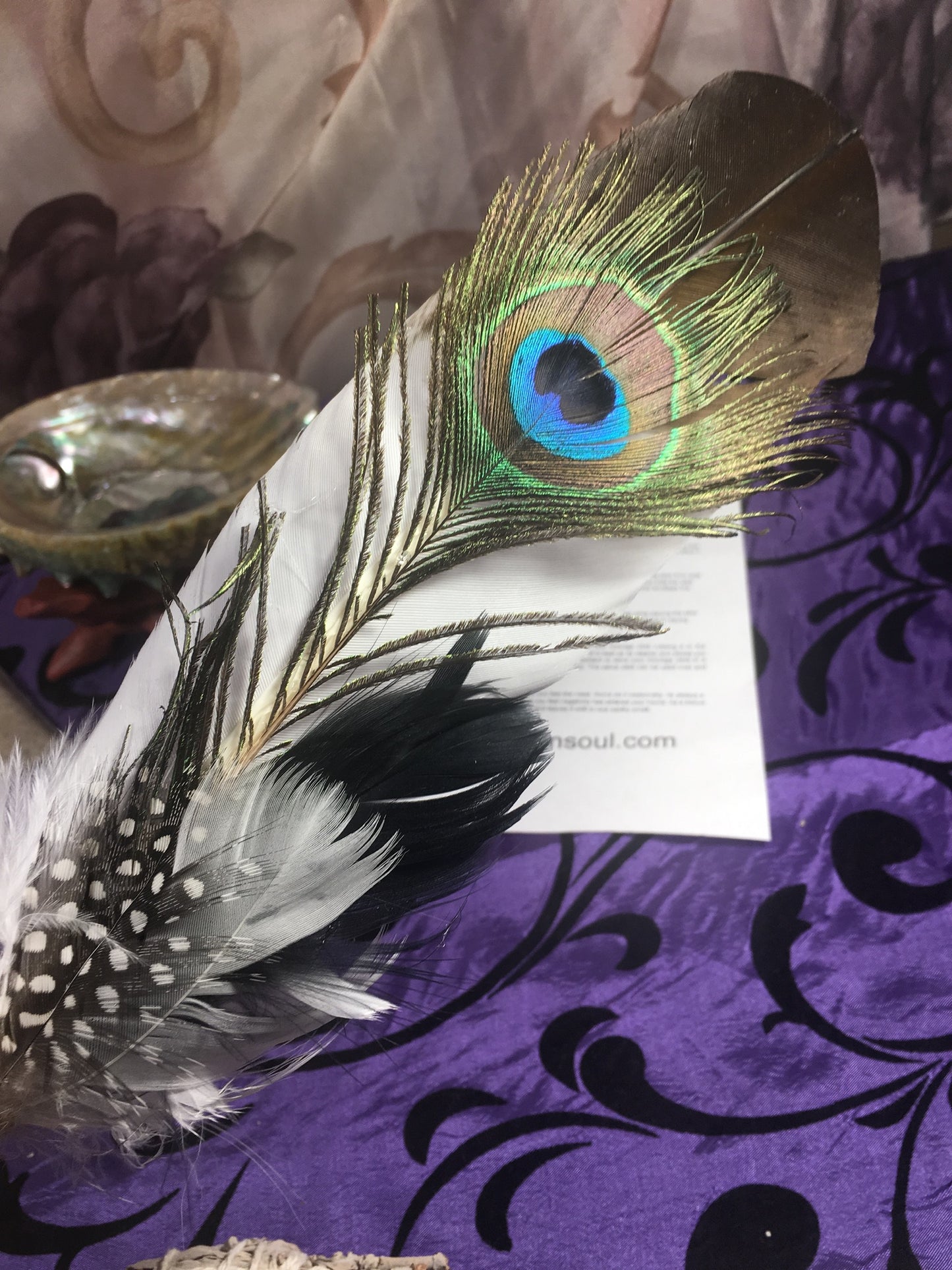 Deluxe Smudge Kit: Abalone Shell, Stand, Sage, Ocean Sand, Traditional Feather