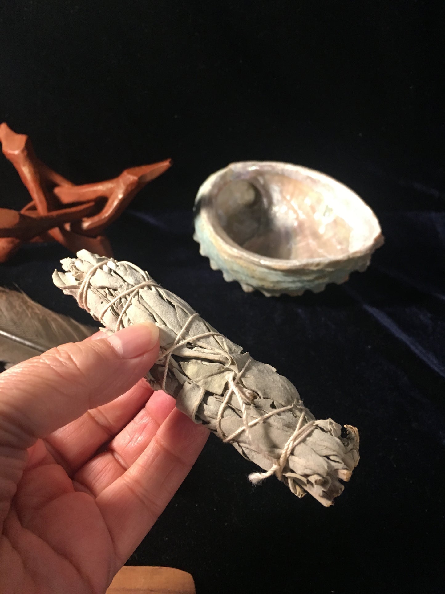 Deluxe Smudge Kit: Abalone Shell, Stand, Sage, Quartz Crystal Gem, Nag Champa Incense, Incense Burner, Traditional Feather