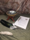 Complete Smudge Kit: Abalone Shell, Stand, Sage, Traditional Black Feather. Clear Bad Energy
