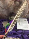 Deluxe 7 CHAKRA Smudge Kit: Abalone Shell, Stand, Ocean Sand, Sage, Traditional Feather for cleansing energy